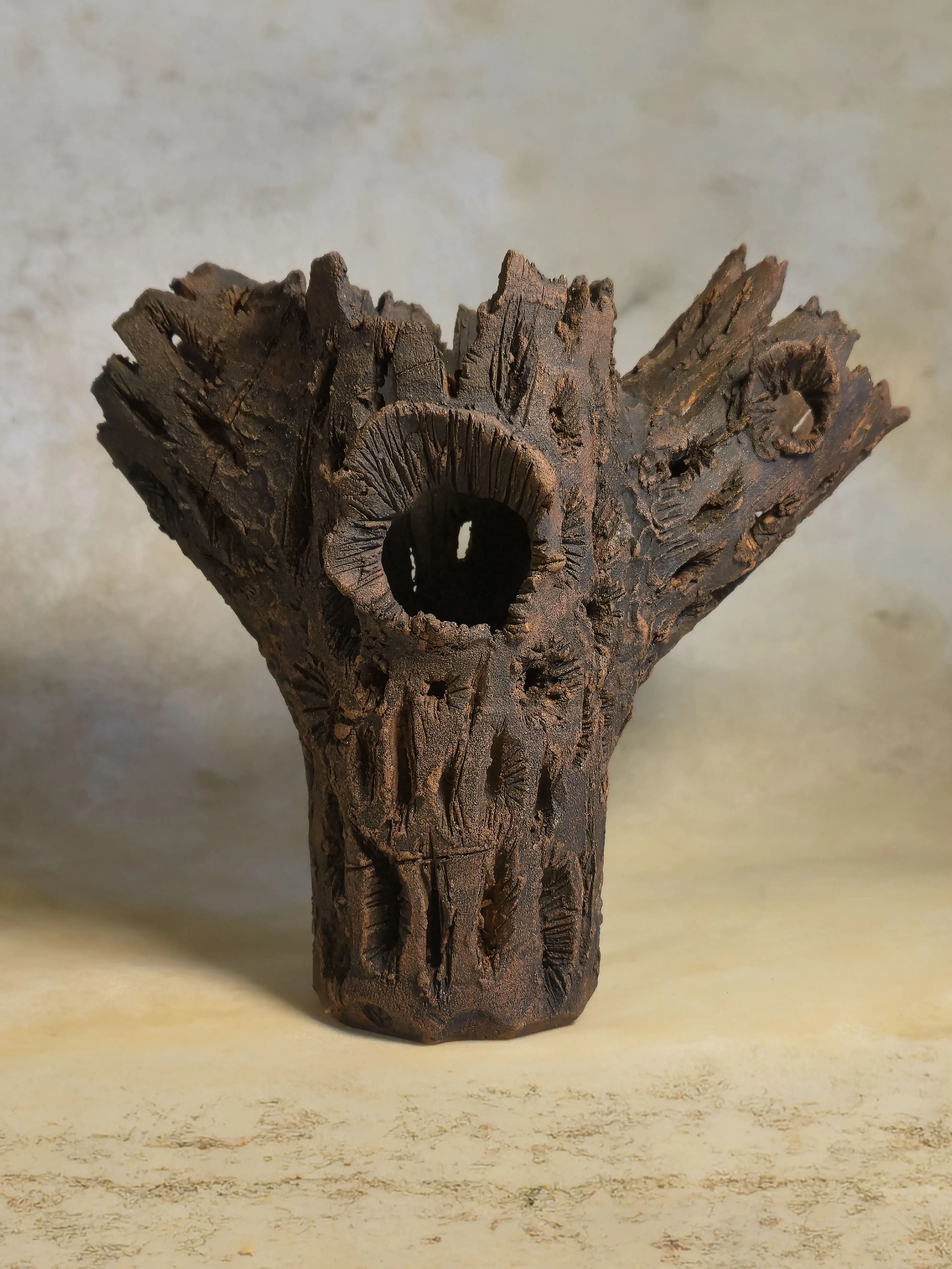 A splayed, deeply textured wild-clay form resembling weathered cholla skeleton.